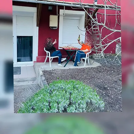 Appartement T2 Au Rez De Chaussée Dans Propriété Privée, Au Bord De L'eau à 15 Minutes De Nancy