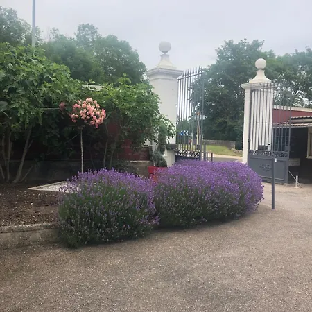T2 Au Rez De Chaussée Dans Propriété Privée, Au Bord De L'eau à 15 Minutes De Nancy Appartement *