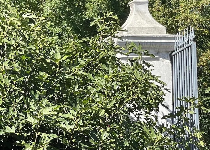 T2 Au Rez De Chaussee Dans Propriete Privee, Au Bord De L'eau A 15 Minutes De Nancy Toul